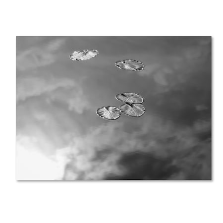 Patty Tuggle 'Lily Pads & Sky' Canvas Art,14x19